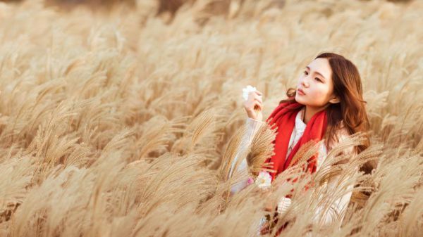 全章节小说锦绣深宫七品才人半枝雪最新阅读